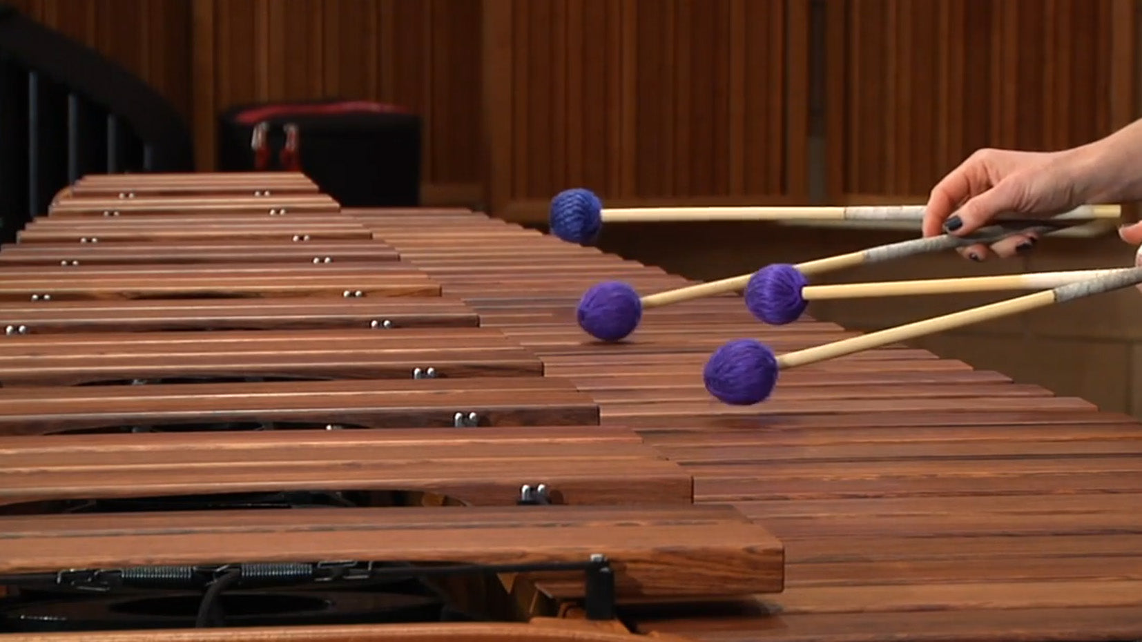 Ivana Bilic Performs with Marimba One Mallets