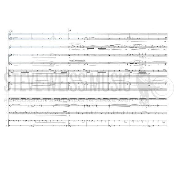 Aphex Twin-Nannou arr. Venet (SP)-B/2V/Cro./X/2M/P