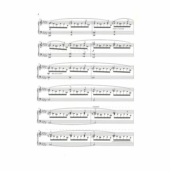 Chopin-Etude Op. 10 No. 6 arr. Natale-M