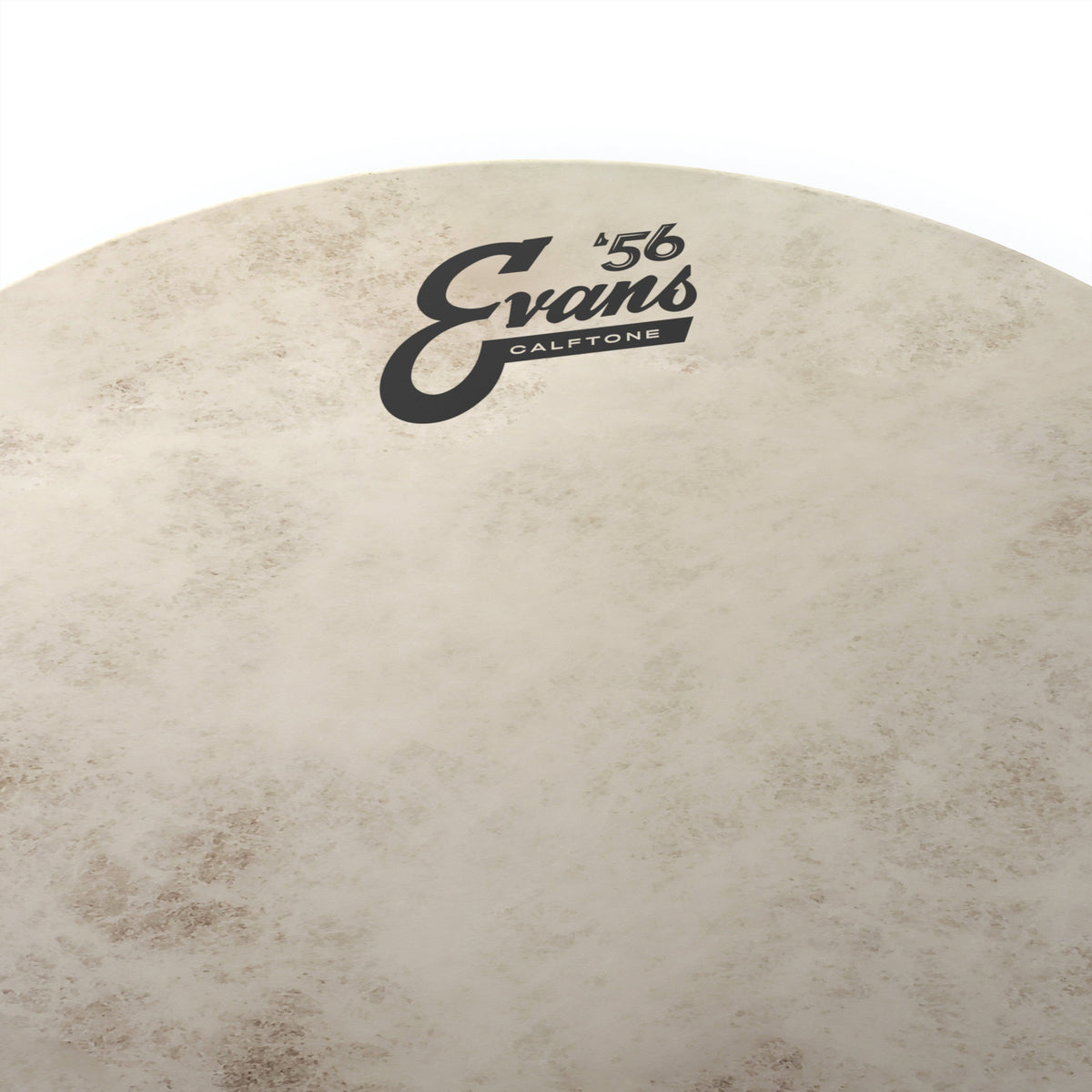 Evans Calftone Drumhead - 10" - Image 2