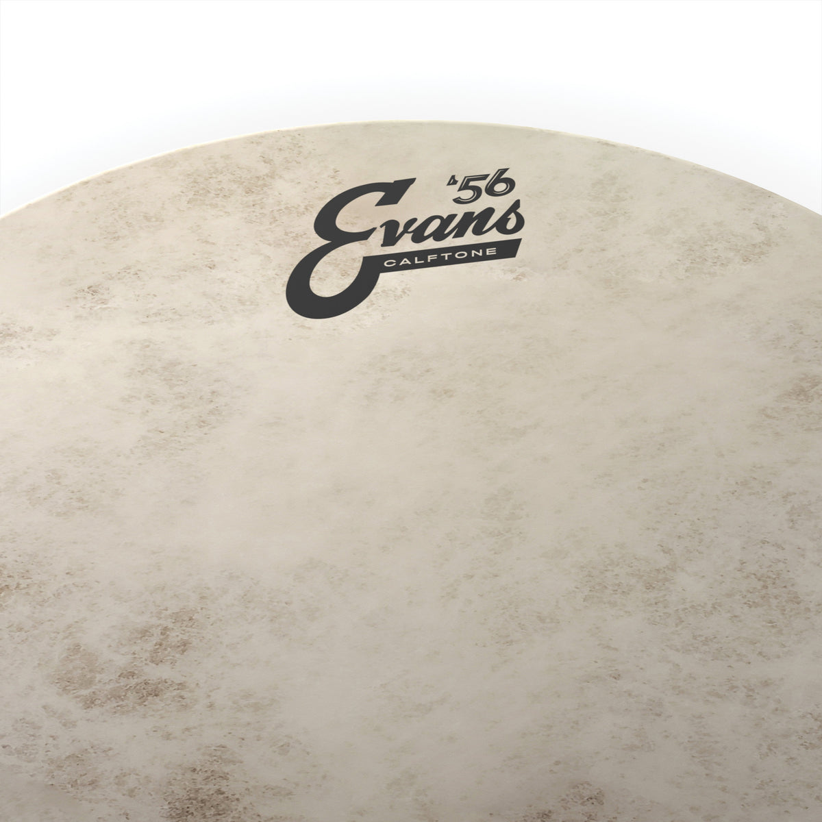 Evans Calftone Drumhead - 15" - Image 2