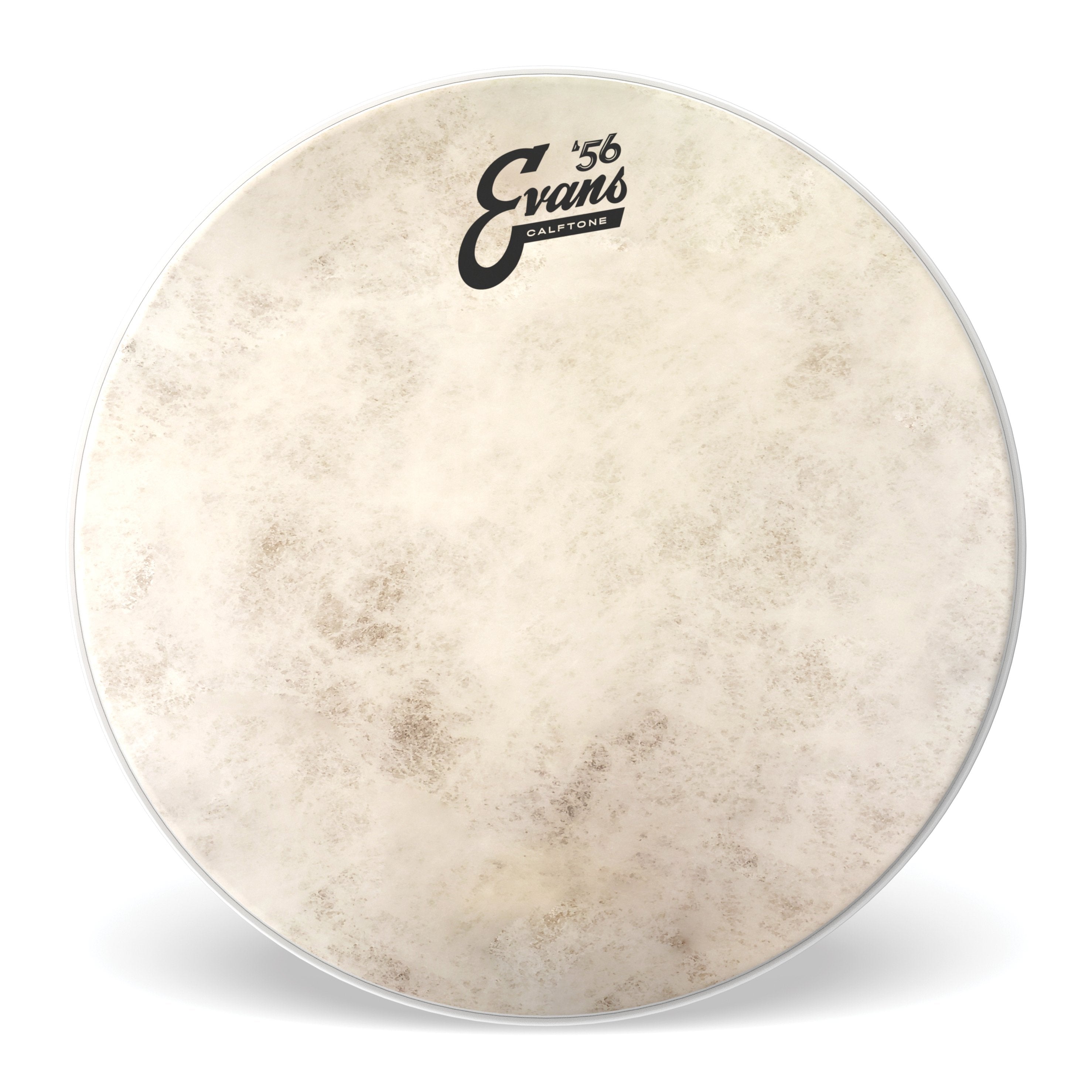 Evans Calftone Drumhead - 16" - Image 1