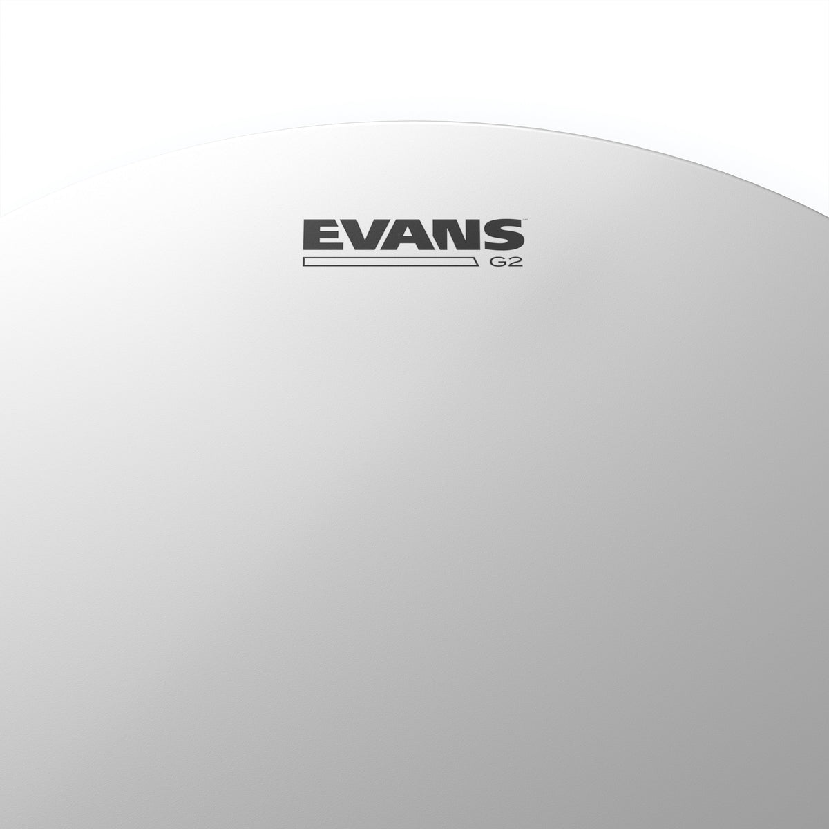Evans Genera G2 Coated Drumhead - 14" - Image 2