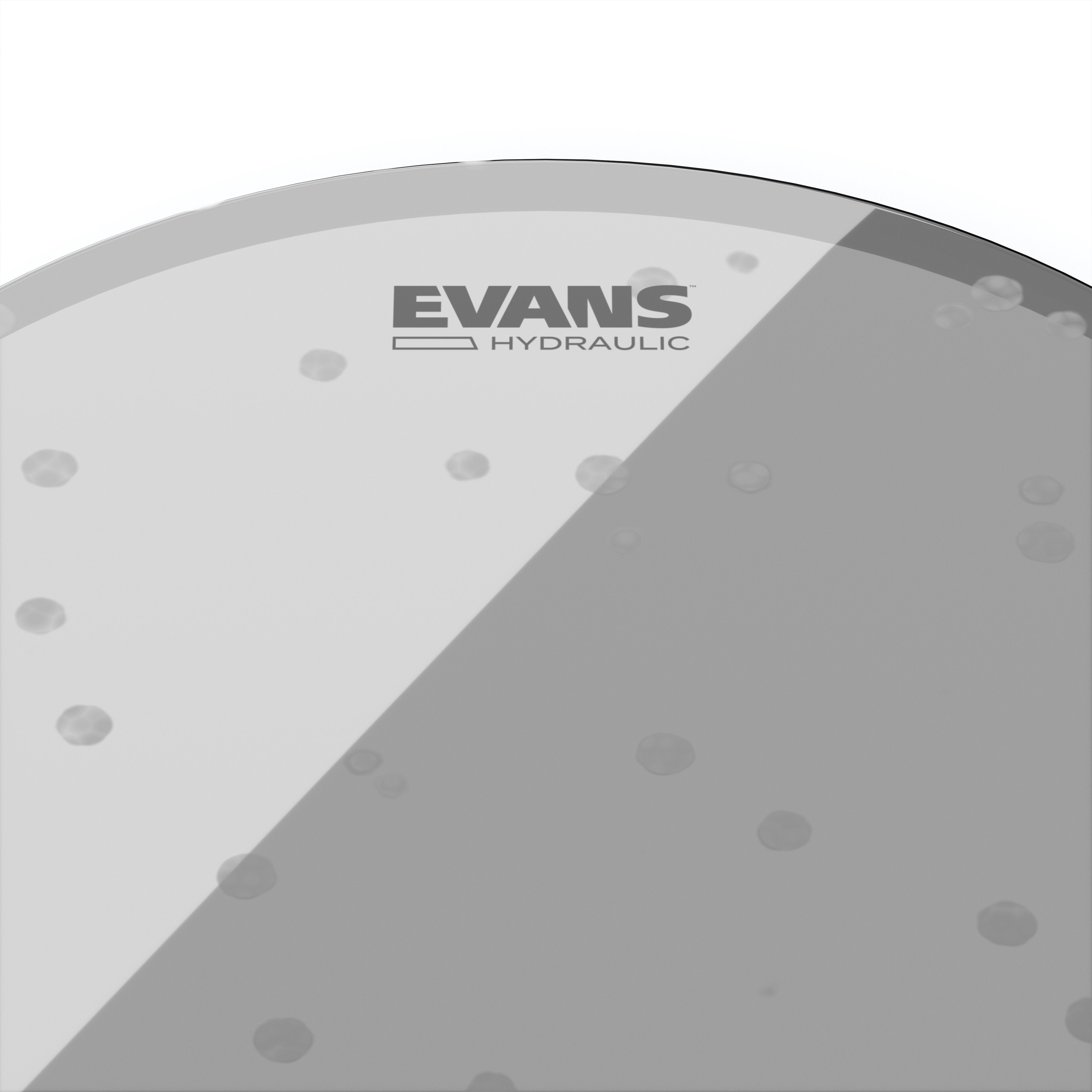 Evans Hydraulic Glass Drumhead - 8" - Image 2