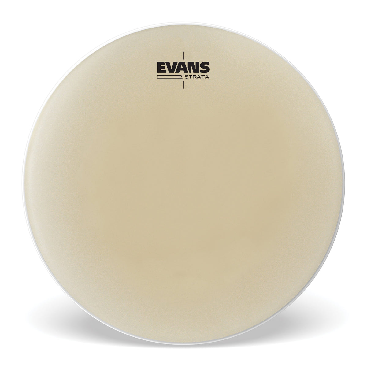 Evans Strata Timpani Head - 33.5" - Image 1