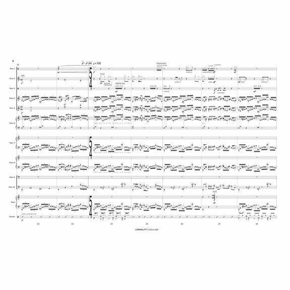 Hall-Liminality (SP)-V/3M/MIDI mallet controller/4T/P