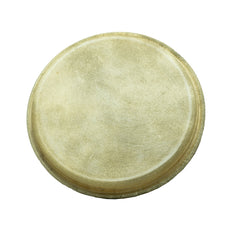 bongo-head-large