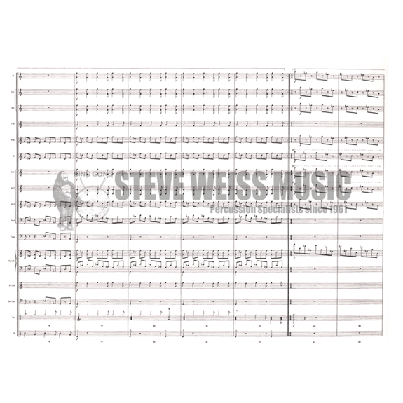 Rosenthal-Contemporary Insanity arr. McDonald (SP)-B/2V/C /opt. Steel dr./X/4M/DS/P/Synth./GT/BG