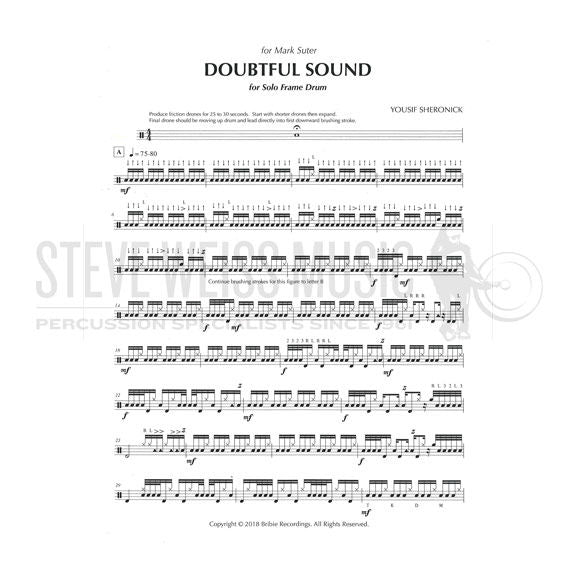 Sheronick-Doubtful Sound-Frame drum