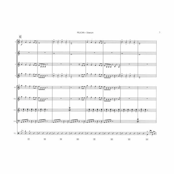 Slawson-Pelican (SP)-B/V/C/X/3M/DS