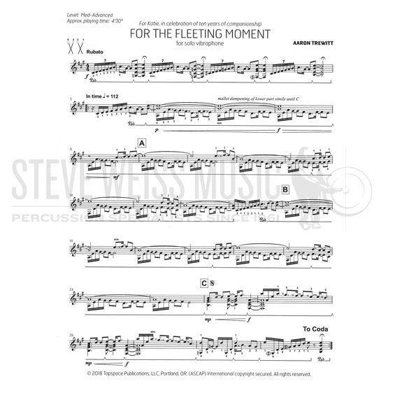 Trewitt-For the Fleeting Moment-V
