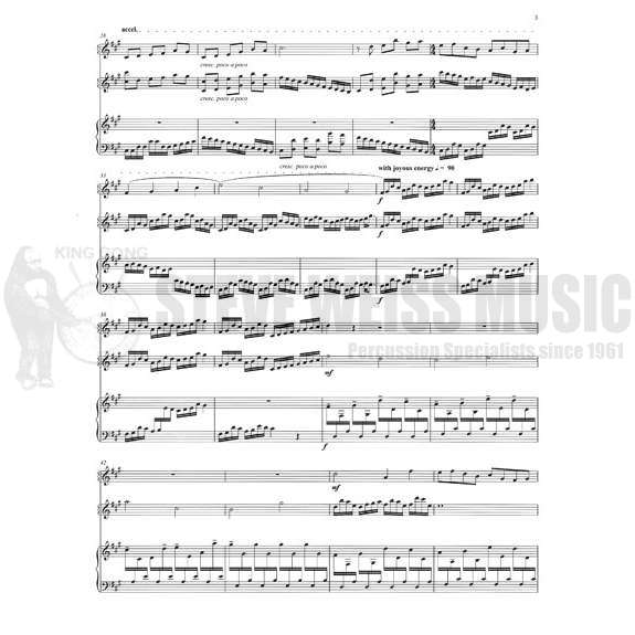 Tyson-Vagabond of Light (SP)-B/V/M