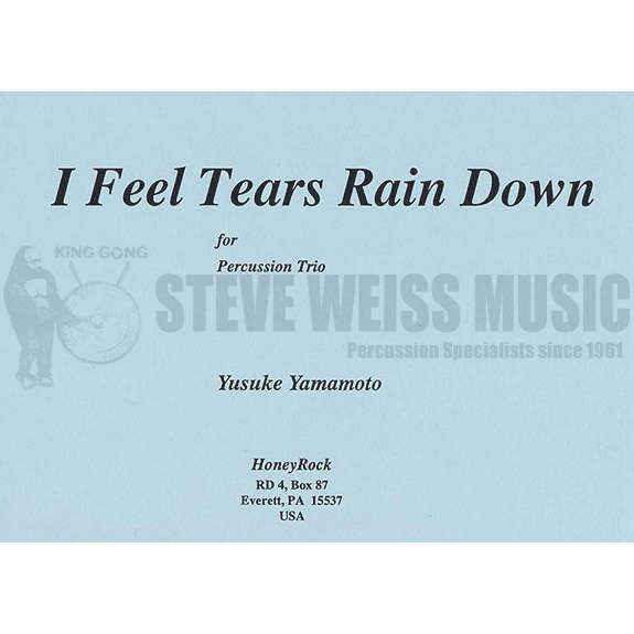 Yamamoto-I Feel Tears Rain Down(SP)-B/V/2T/P