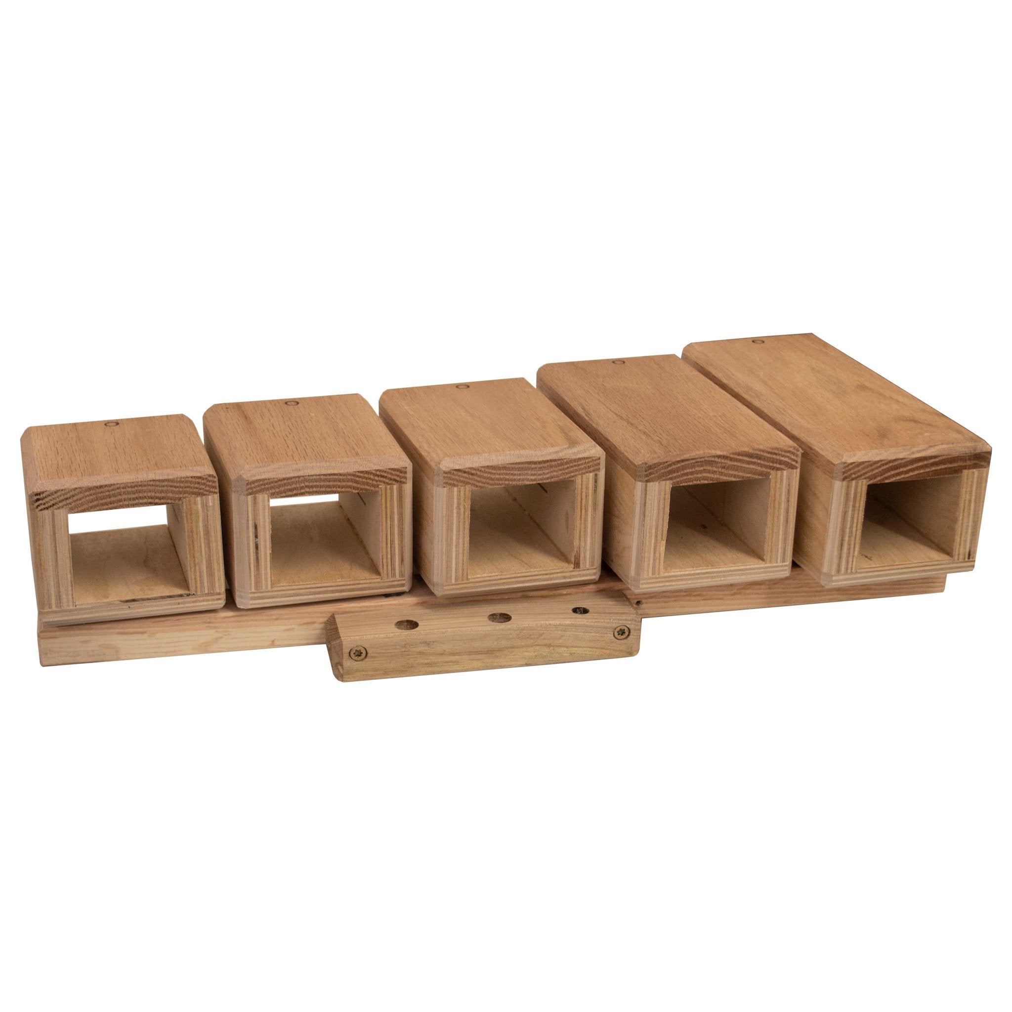 Blocks Temple Blocks - Set of 5 Oak Back