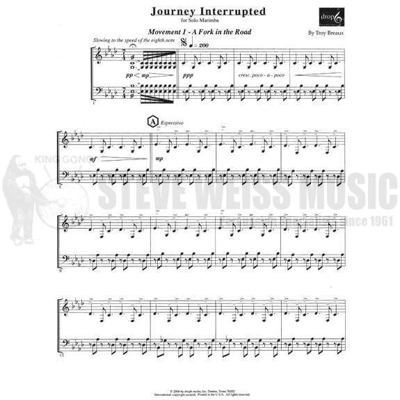 Breaux-Journey Interrupted A Fork in the Road/Excursions-M