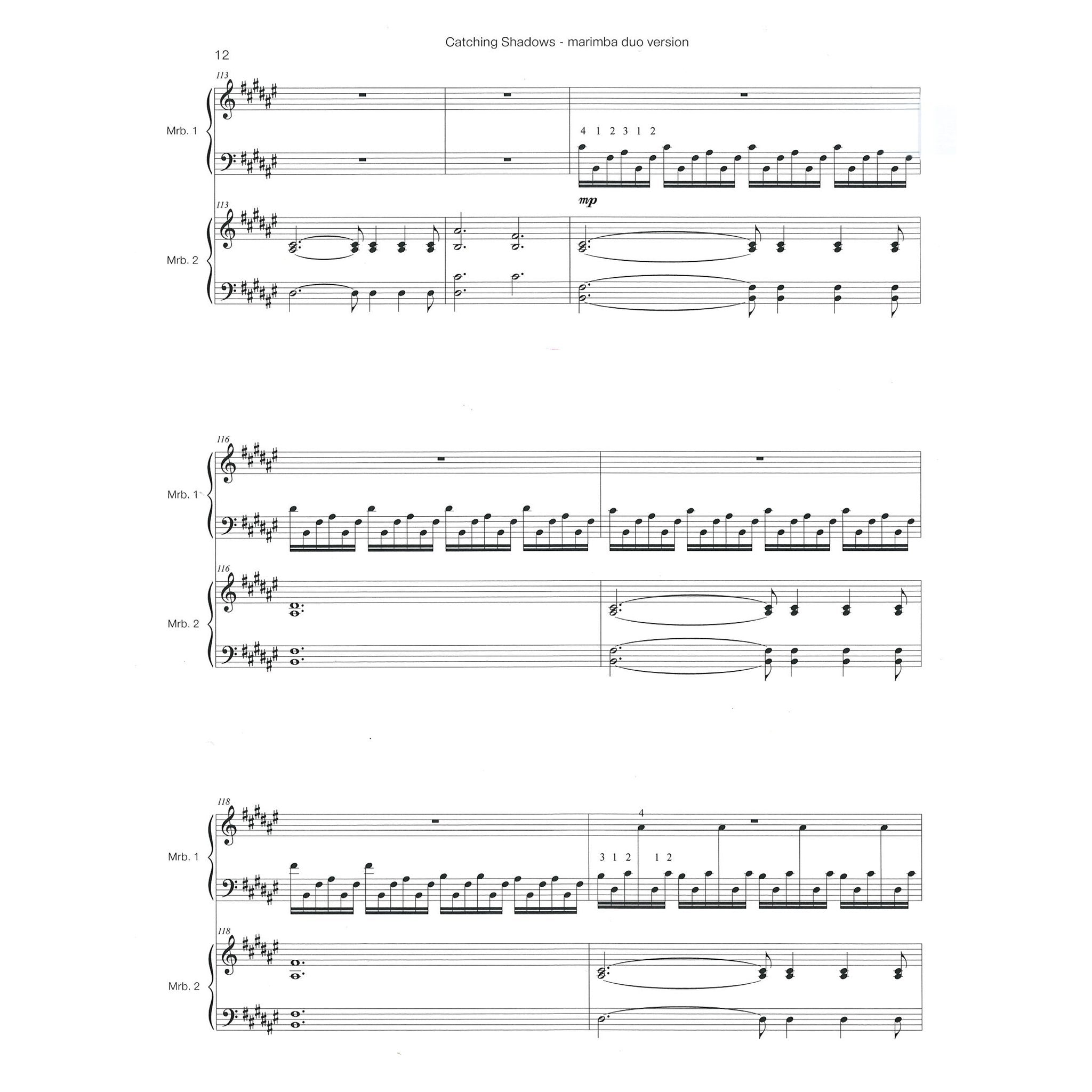 catching-shadows-ivan-trevino-sample duo