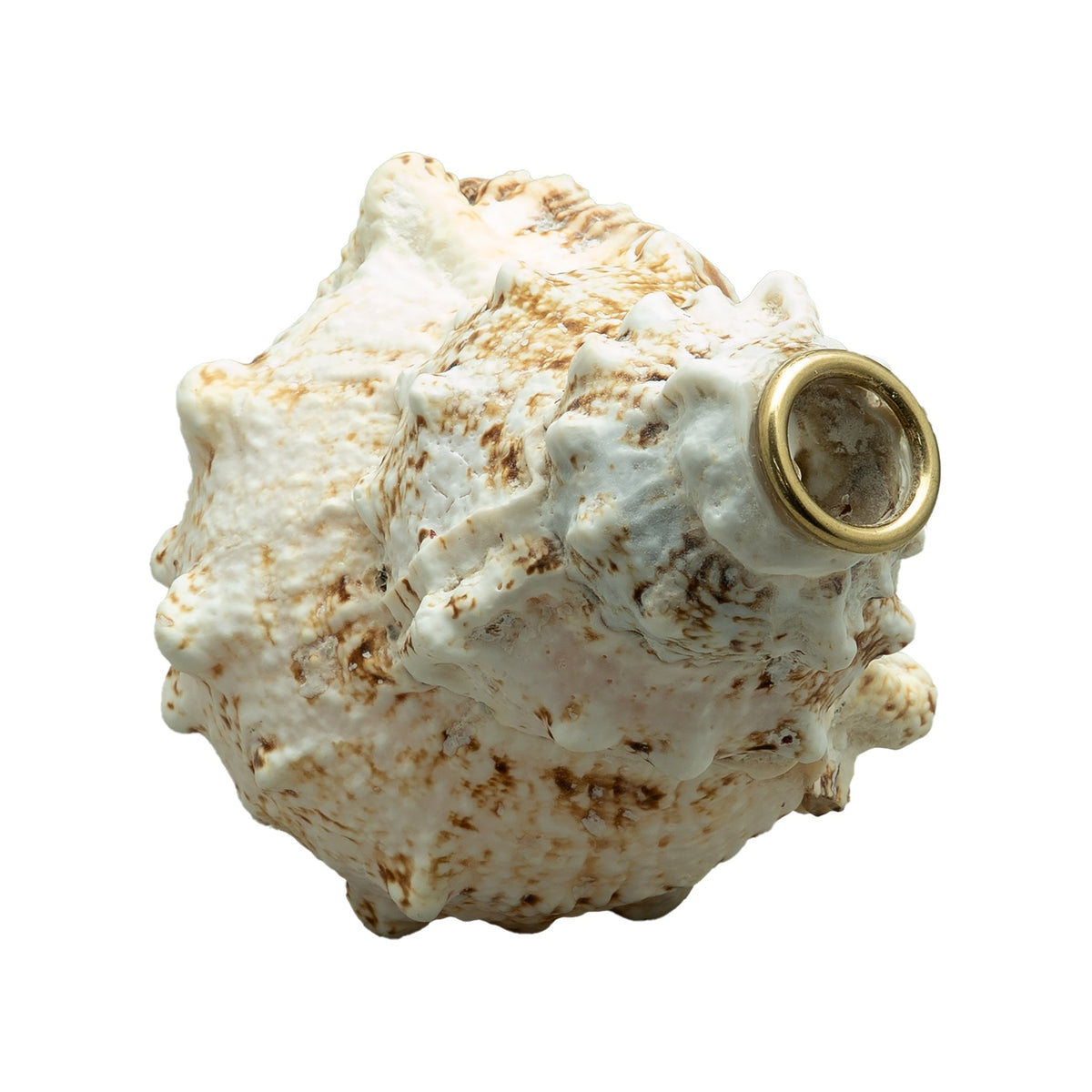 Conch Shell Horn Mouthpiece