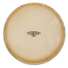 CP Bongo Head for CP221 - 6" - Image 1