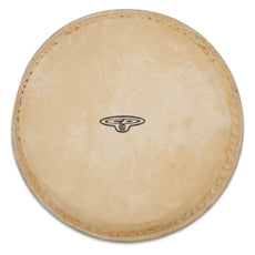 CP Bongo Head for CP221 - 7" - Image 1