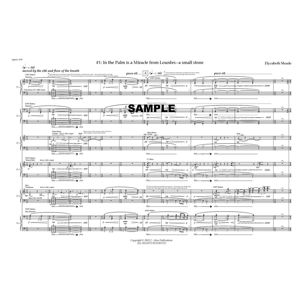 Curios Percussion Ensemble by Elyzabeth Meade Score Example