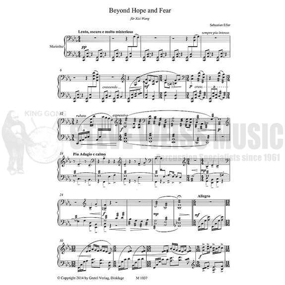 Efler-Beyond Hope and Fear-M