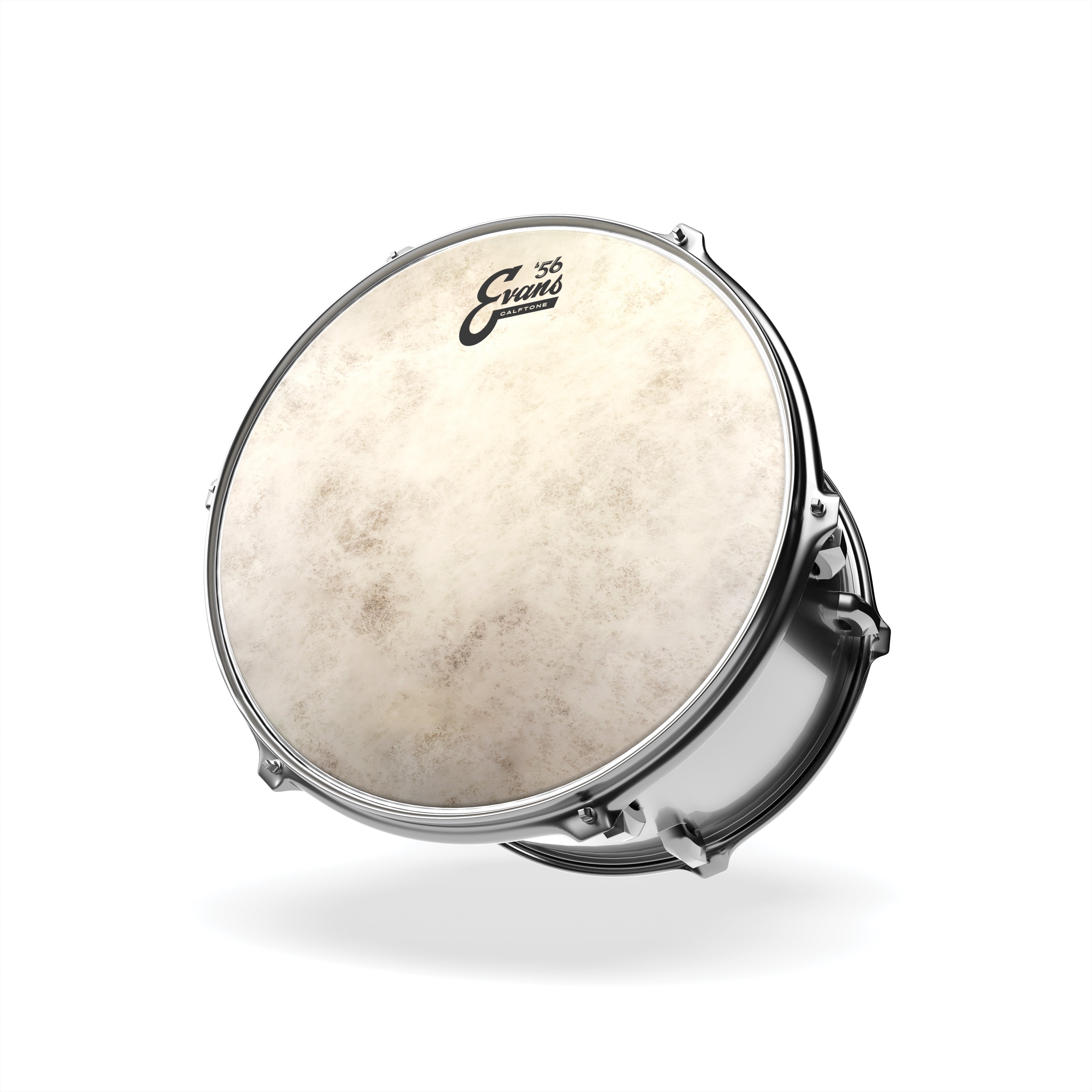 Evans Calftone Drumhead - 13" - Image 3