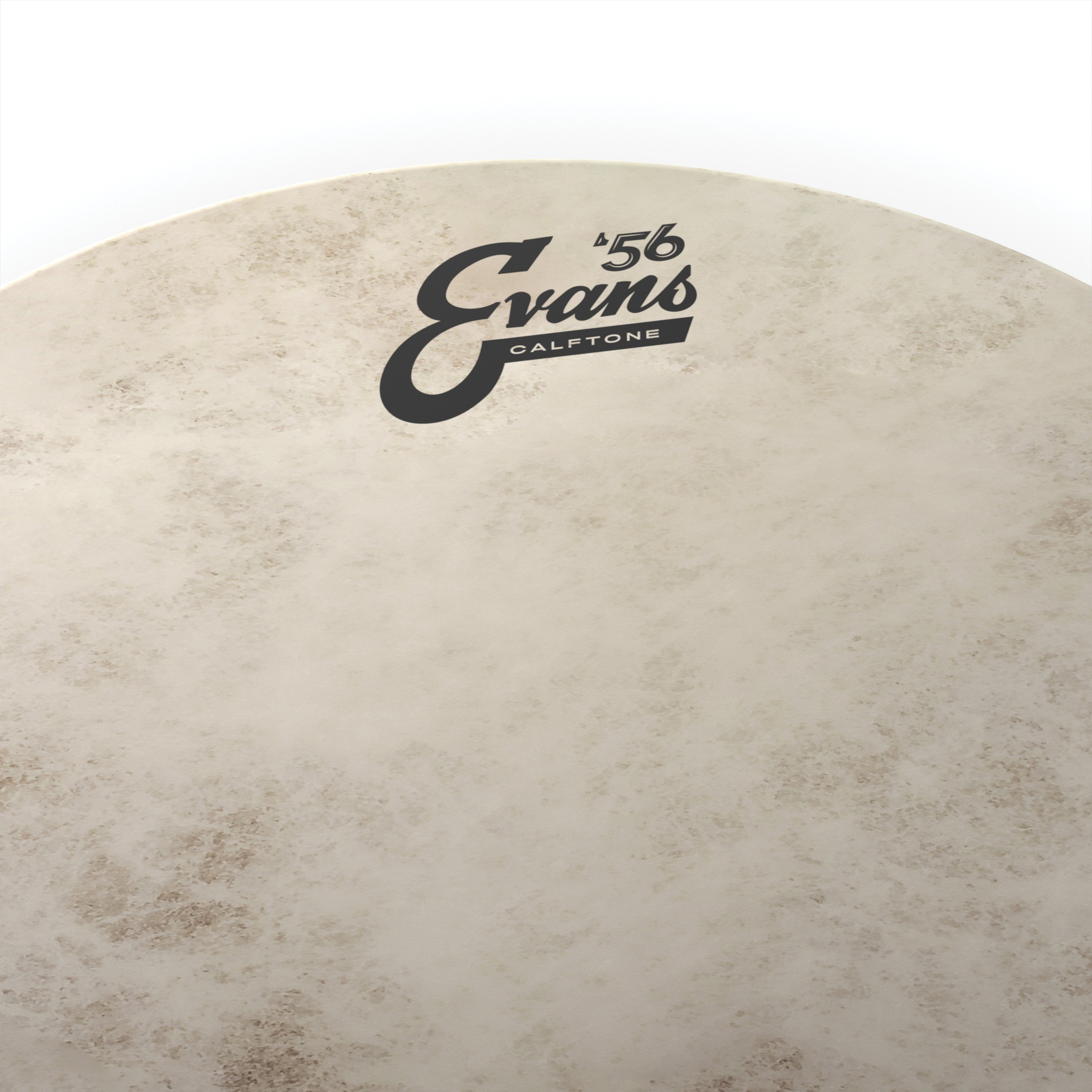 Evans Calftone Drumhead - 16" - Image 2