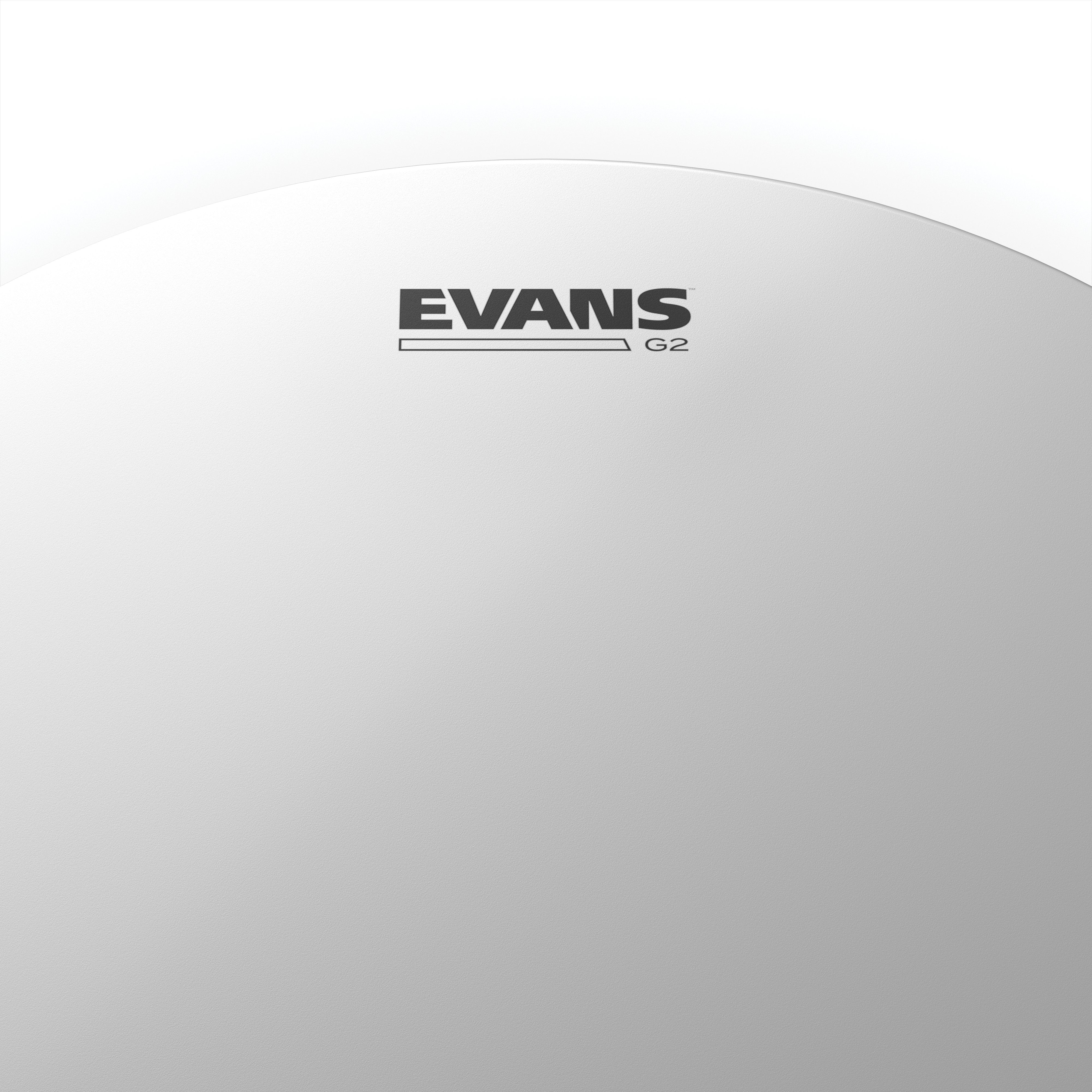 Evans Genera G2 Coated Drumhead - 15" - Image 2