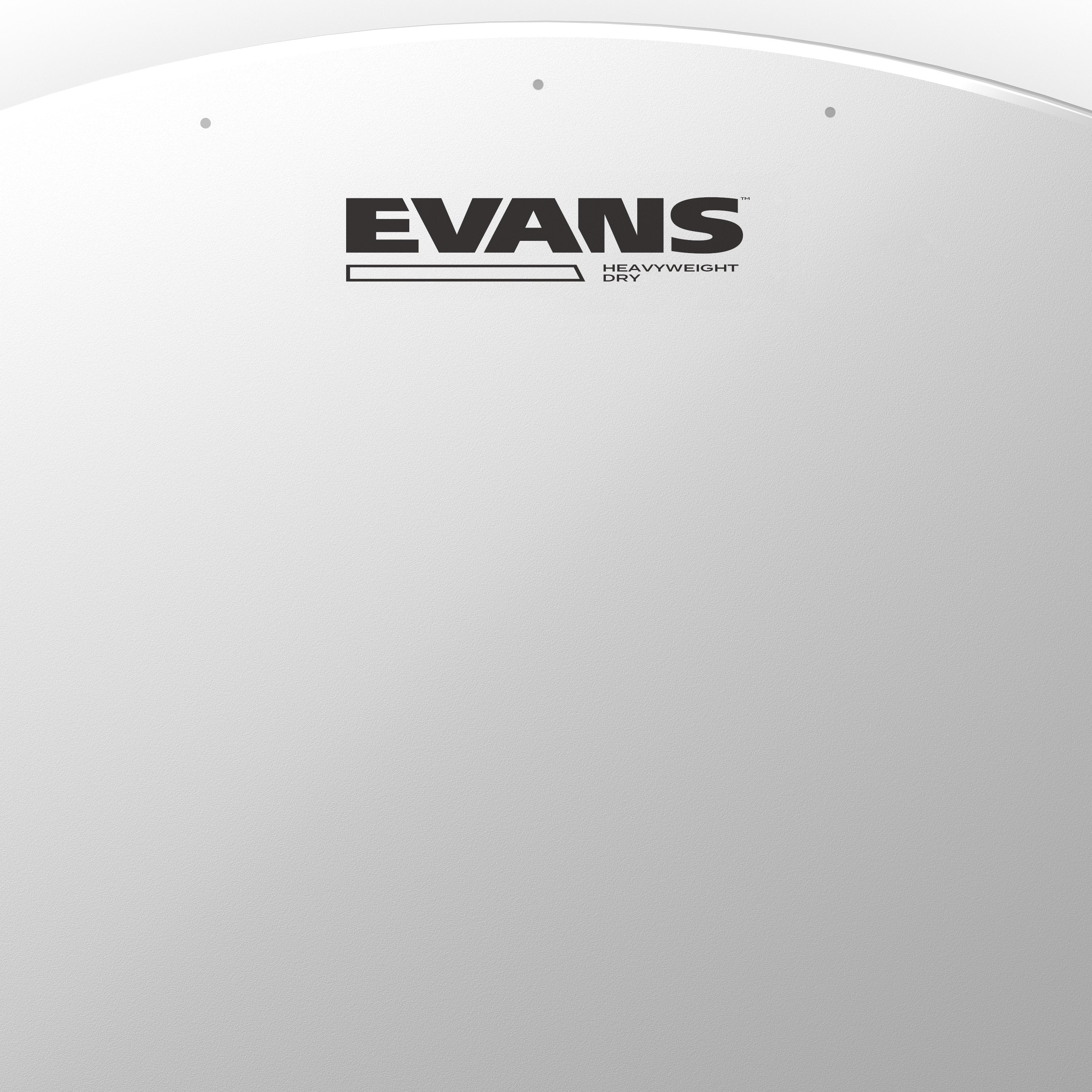 Evans Heavyweight Dry Coated Drumhead - 13" - Image 2