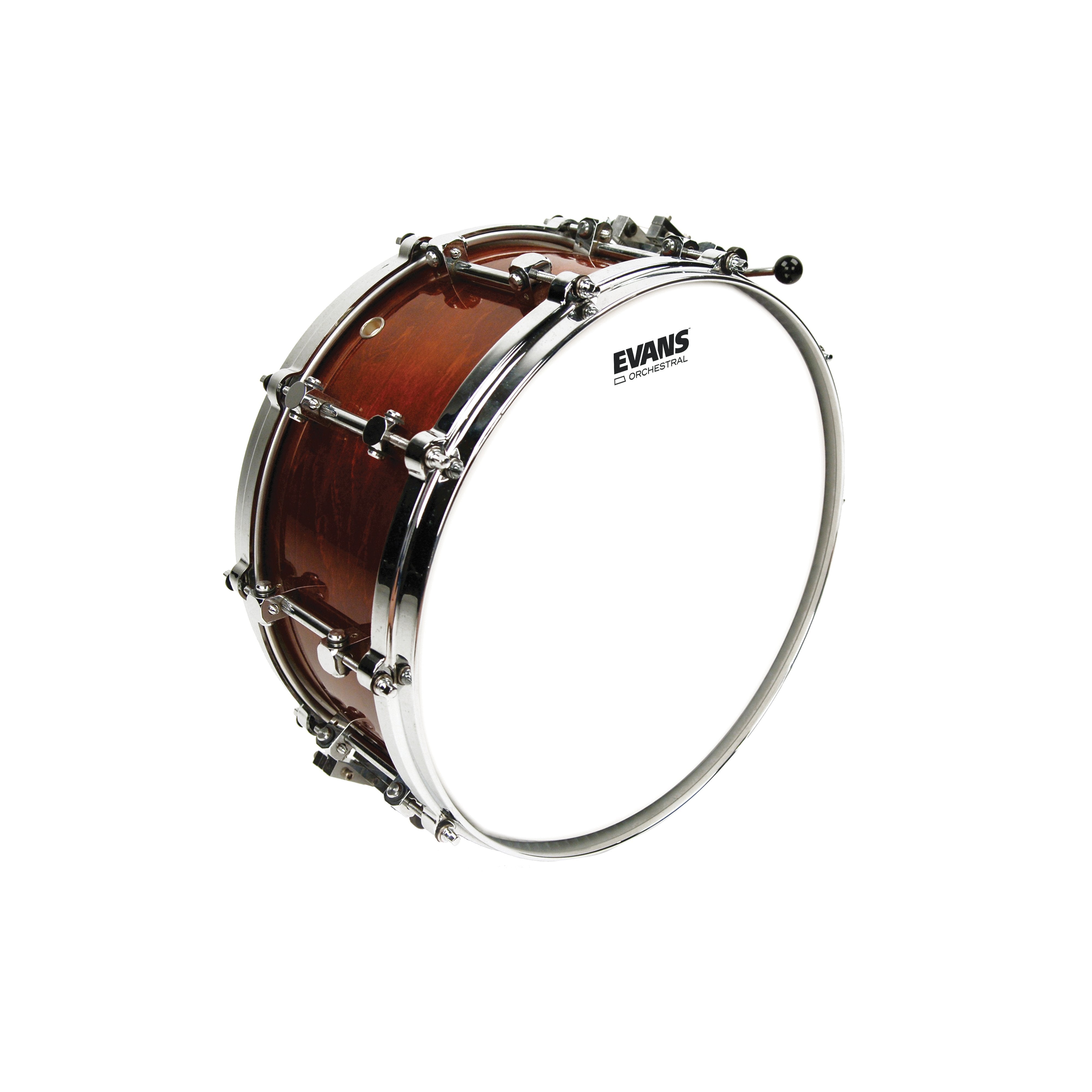 Evans Orchestral Snare Drumhead - 13" - Image 2