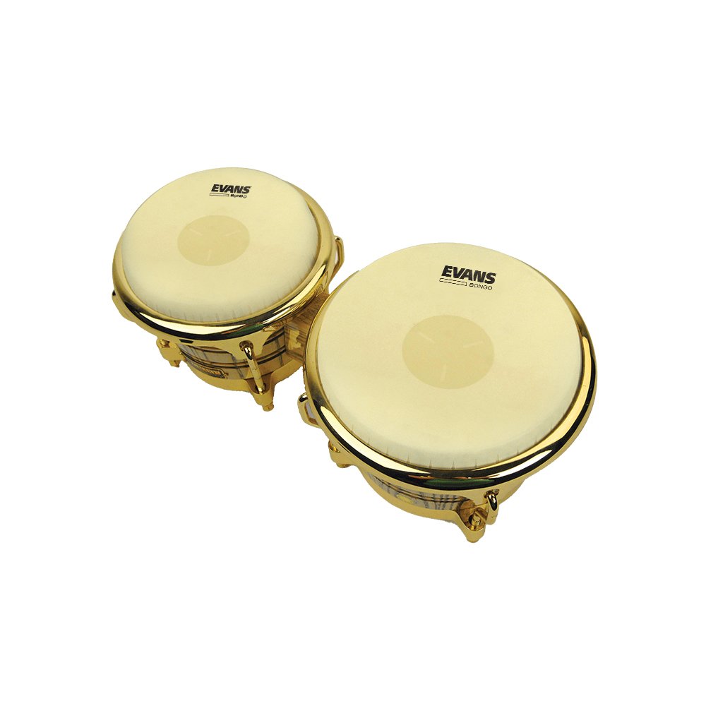 Evans Tri-Center Conga Head - 8 5/8" - Image 2