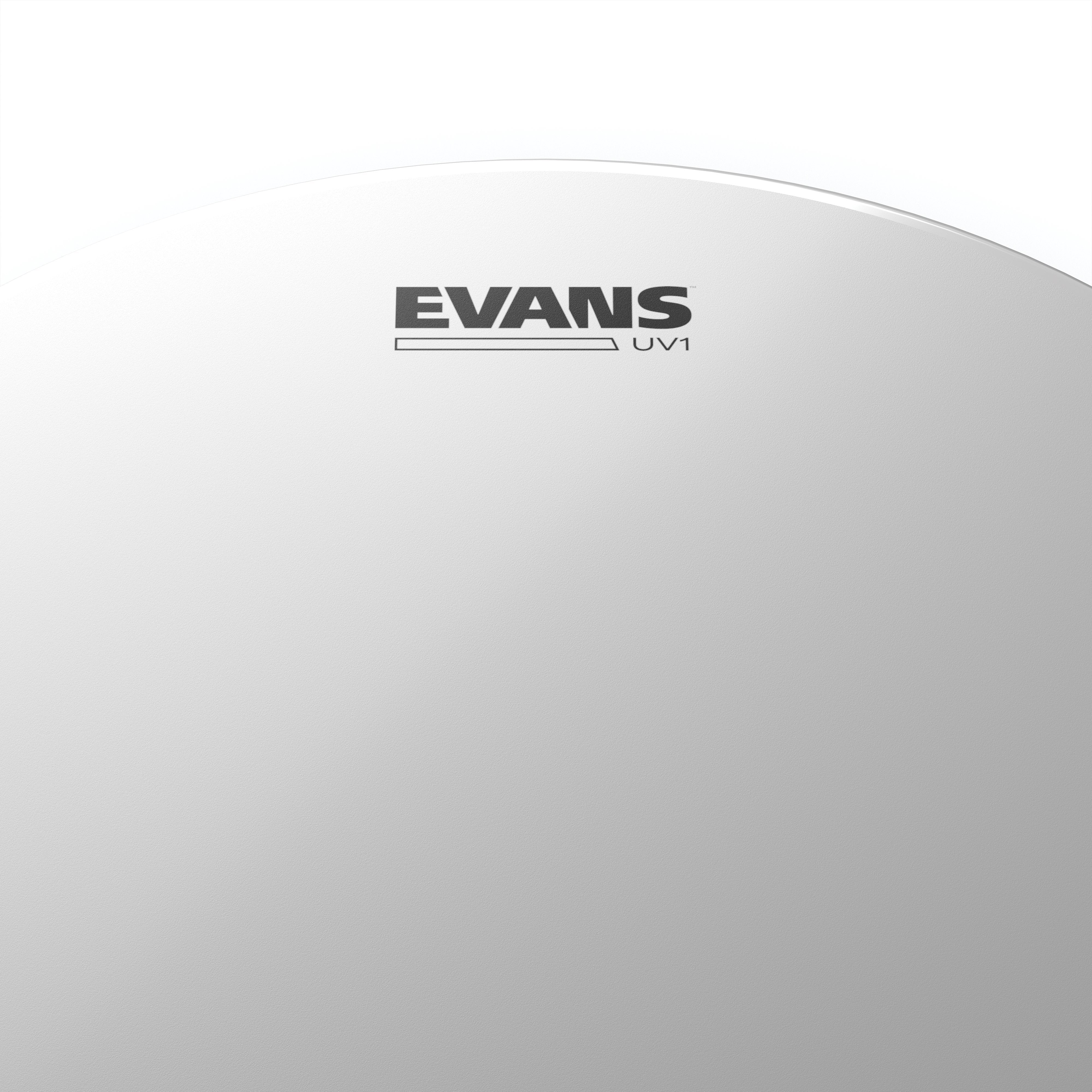 Evans UV1 Coated Drumhead - 10" - Image 2