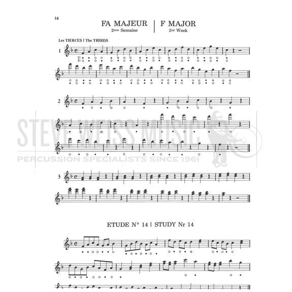 Huteau-Rencontre avec le Xylophone