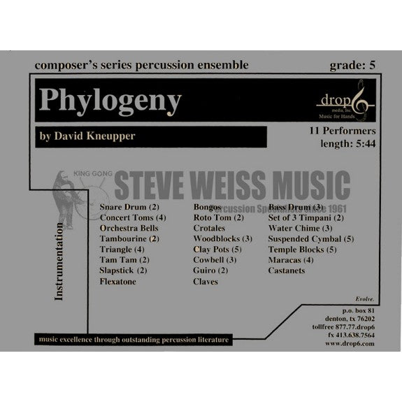 Kneupper-Phylogeny (SP)-B/3T/P