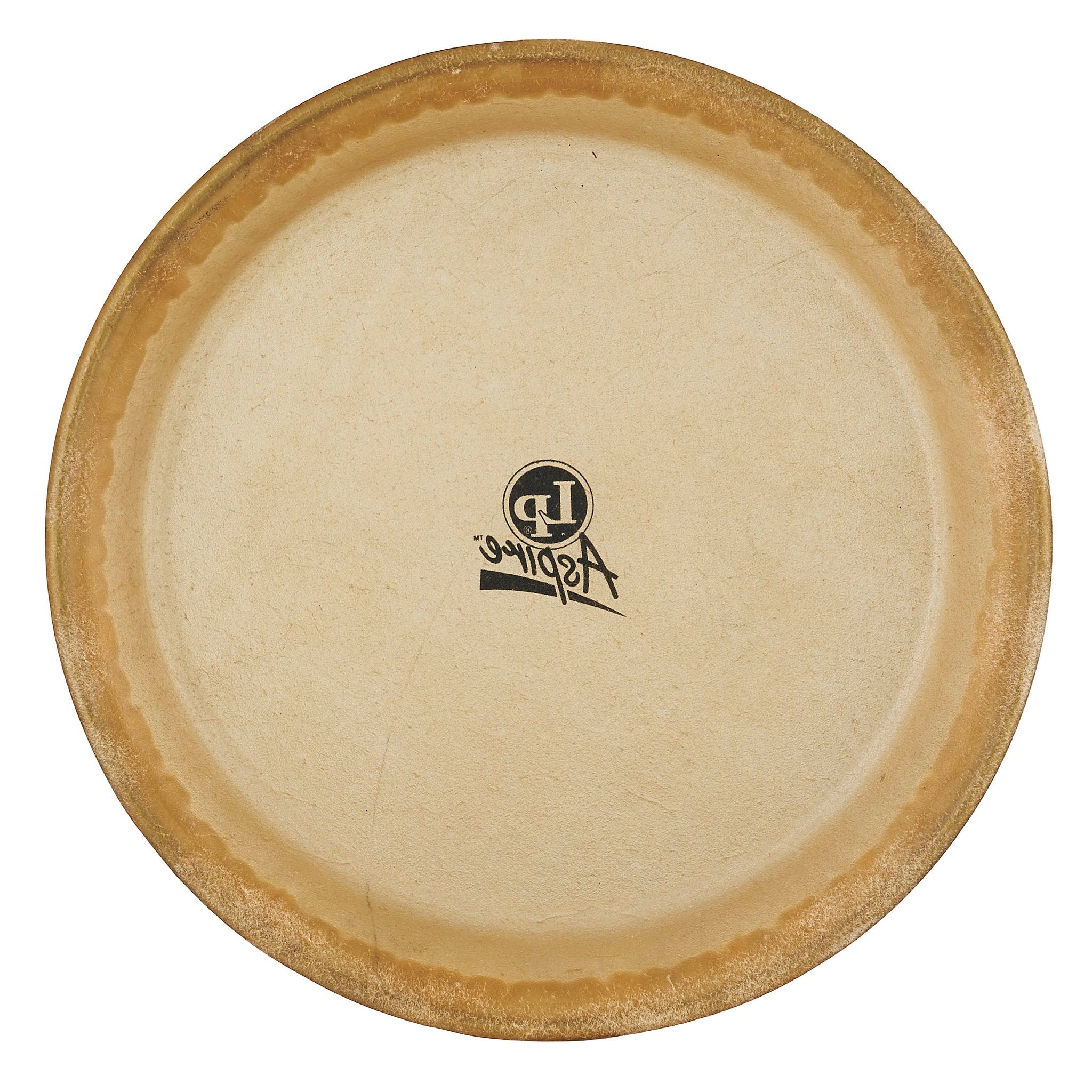 LP Aspire Conga Head - 10" - Image 2