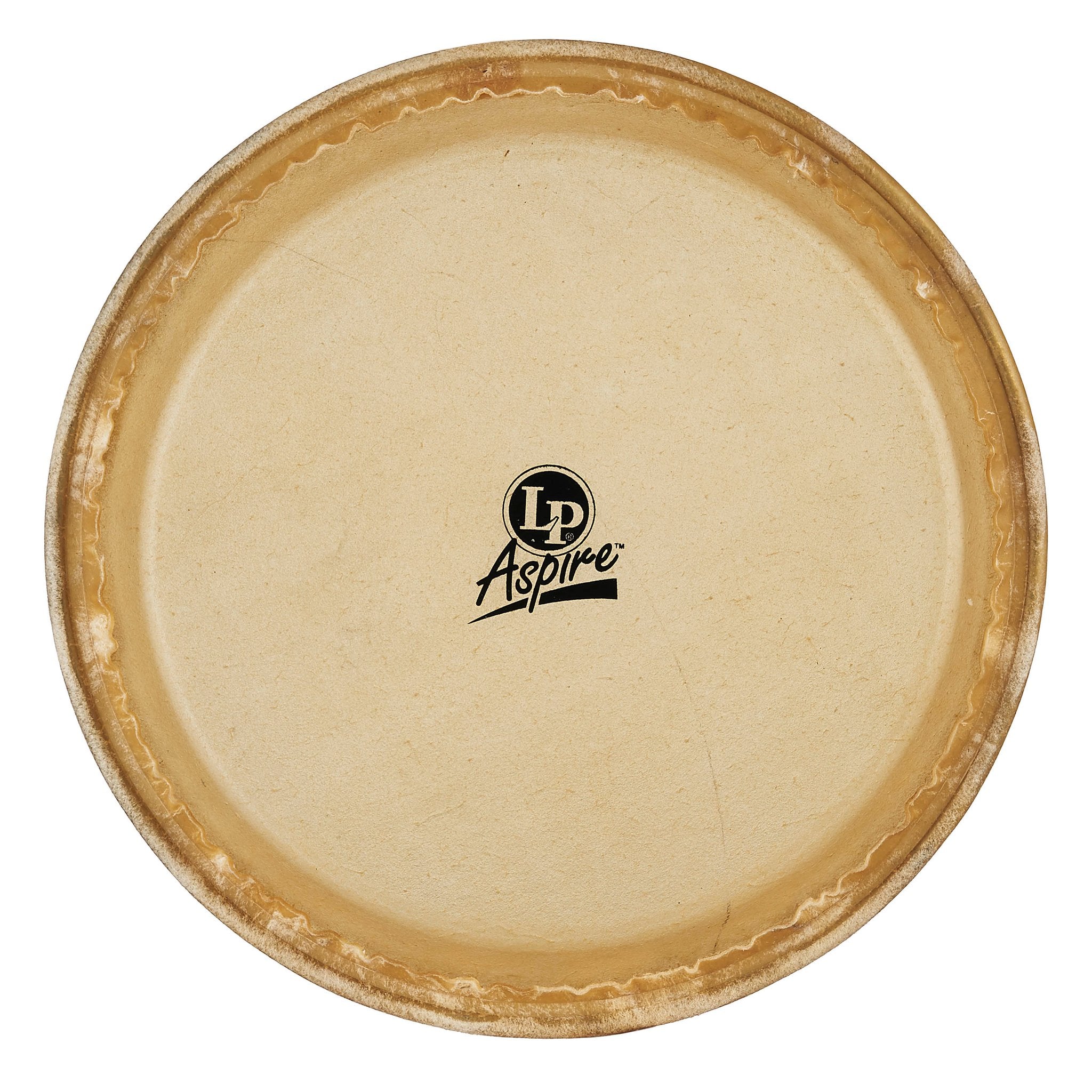 LP Aspire Conga Head - 10" - Image 1