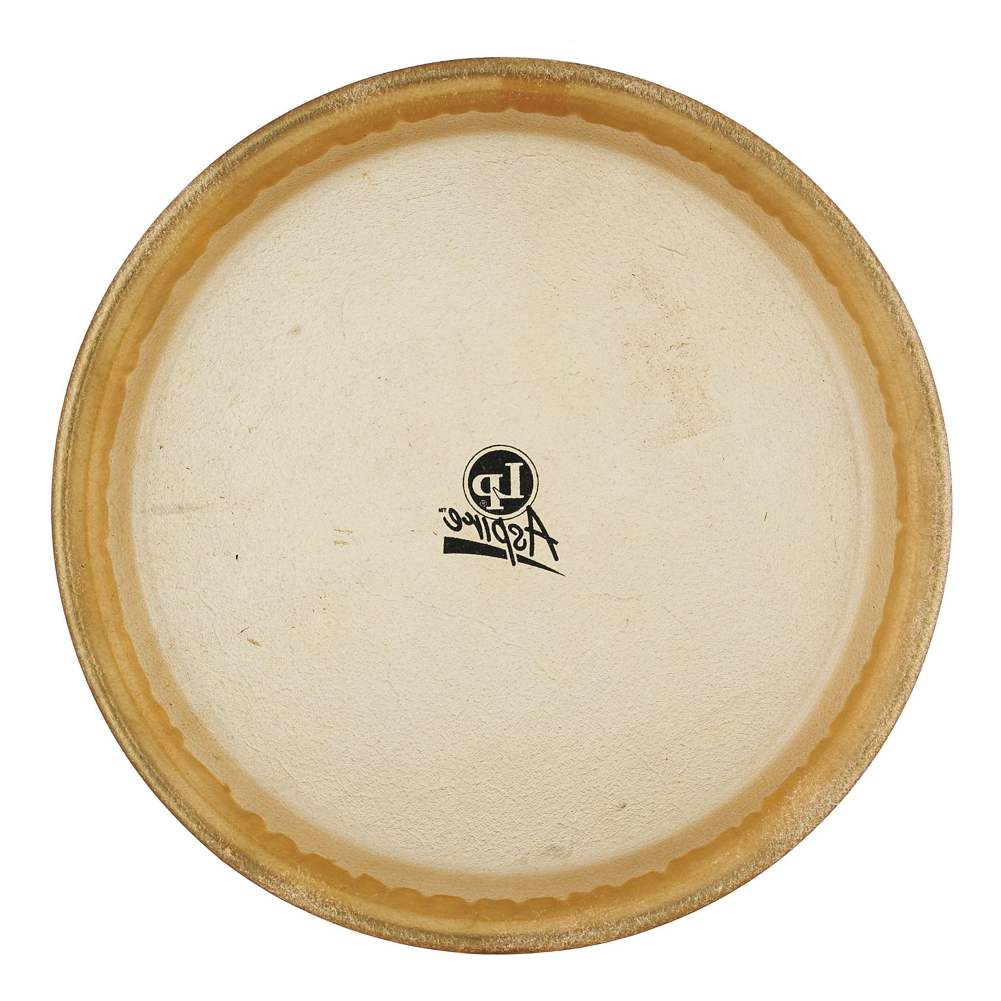 LP Aspire Conga Head - 11" - Image 2