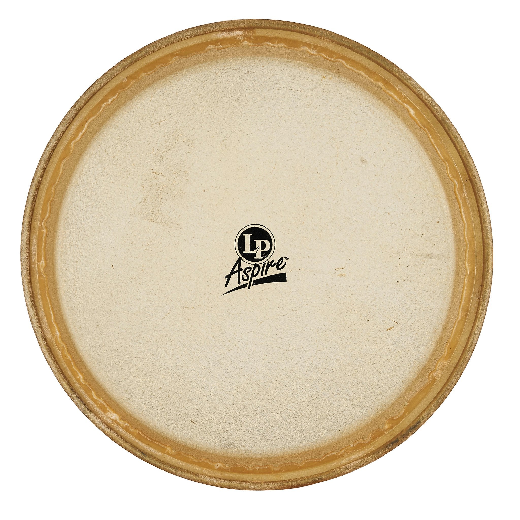 LP Aspire Conga Head - 11" - Image 1