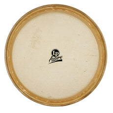LP Aspire Conga Head - 11" - Image 1