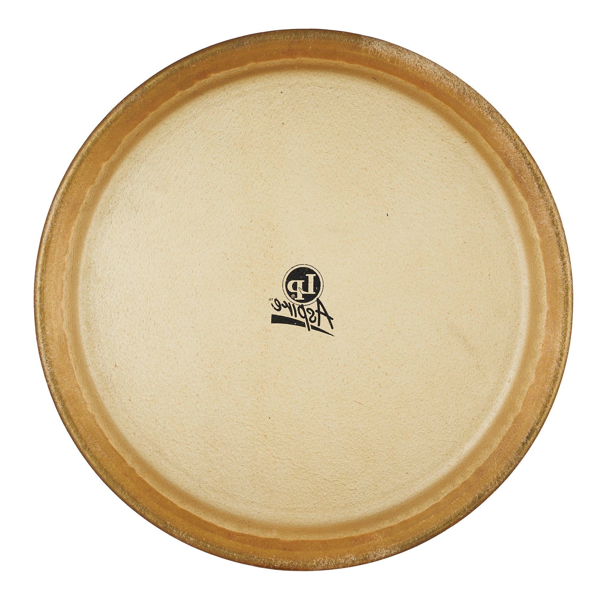 LP Aspire Conga Head - 12" - Image 2
