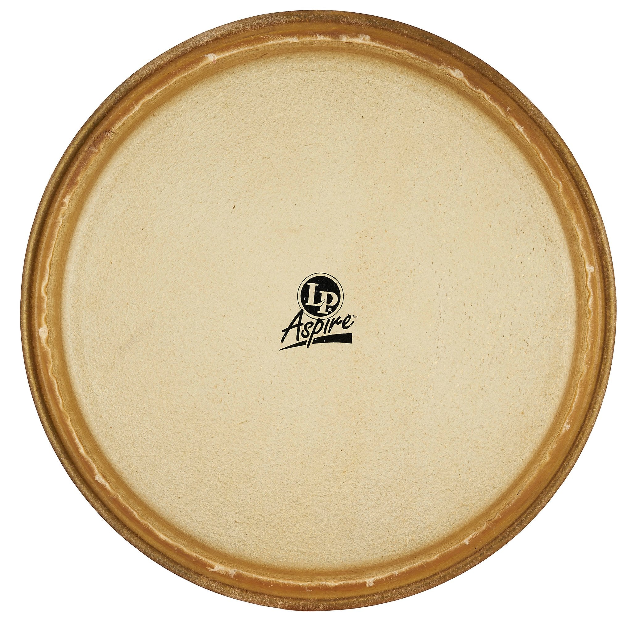 LP Aspire Conga Head - 12" - Image 1