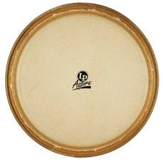 LP Aspire Conga Head - 12" - Image 1