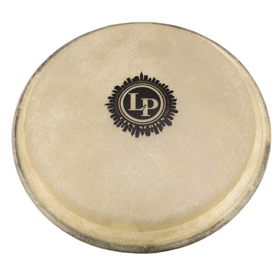 6" City Series Bongo Head