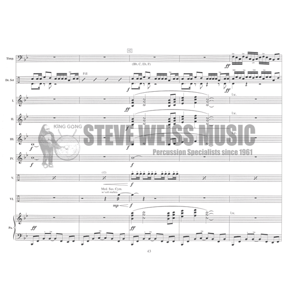 Mancini, D.-Concerto for Timpani, Drumset and Perc. Ens. (SP) -B/V/C/X/2M/4T/DS/P/PN