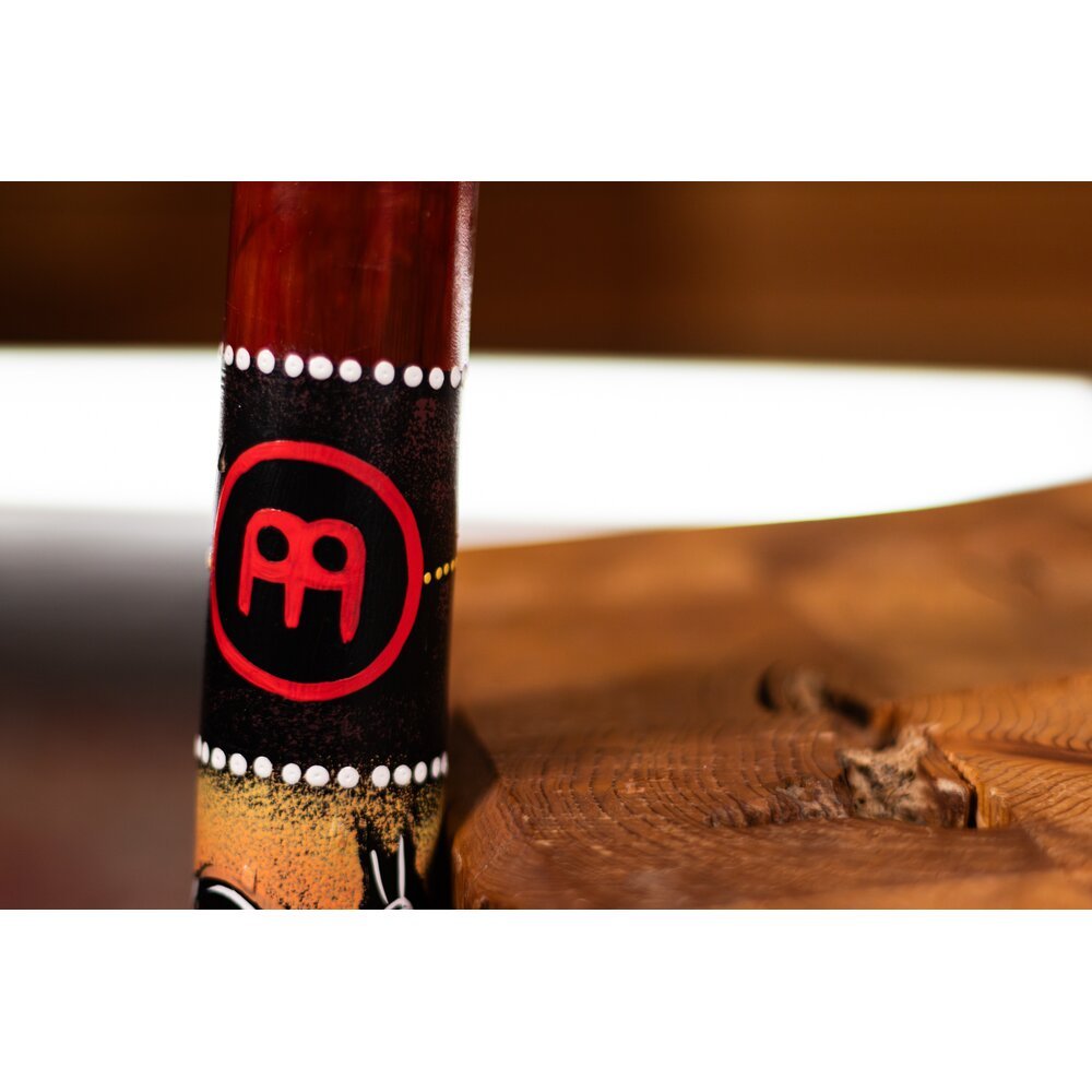 Meinl Bamboo Rainstick - Medium - Image 2