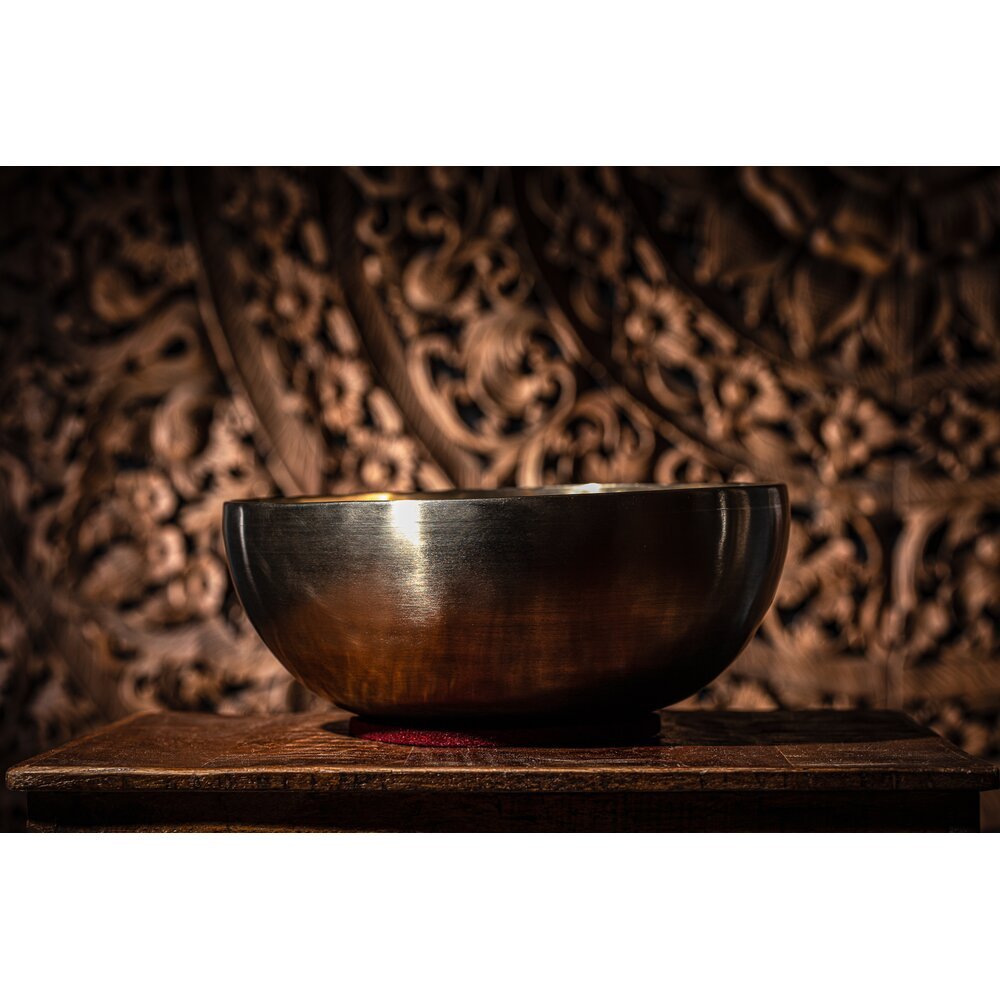 Meinl Energy Series Singing Bowl - 28.9cm - 2200g - Image 4