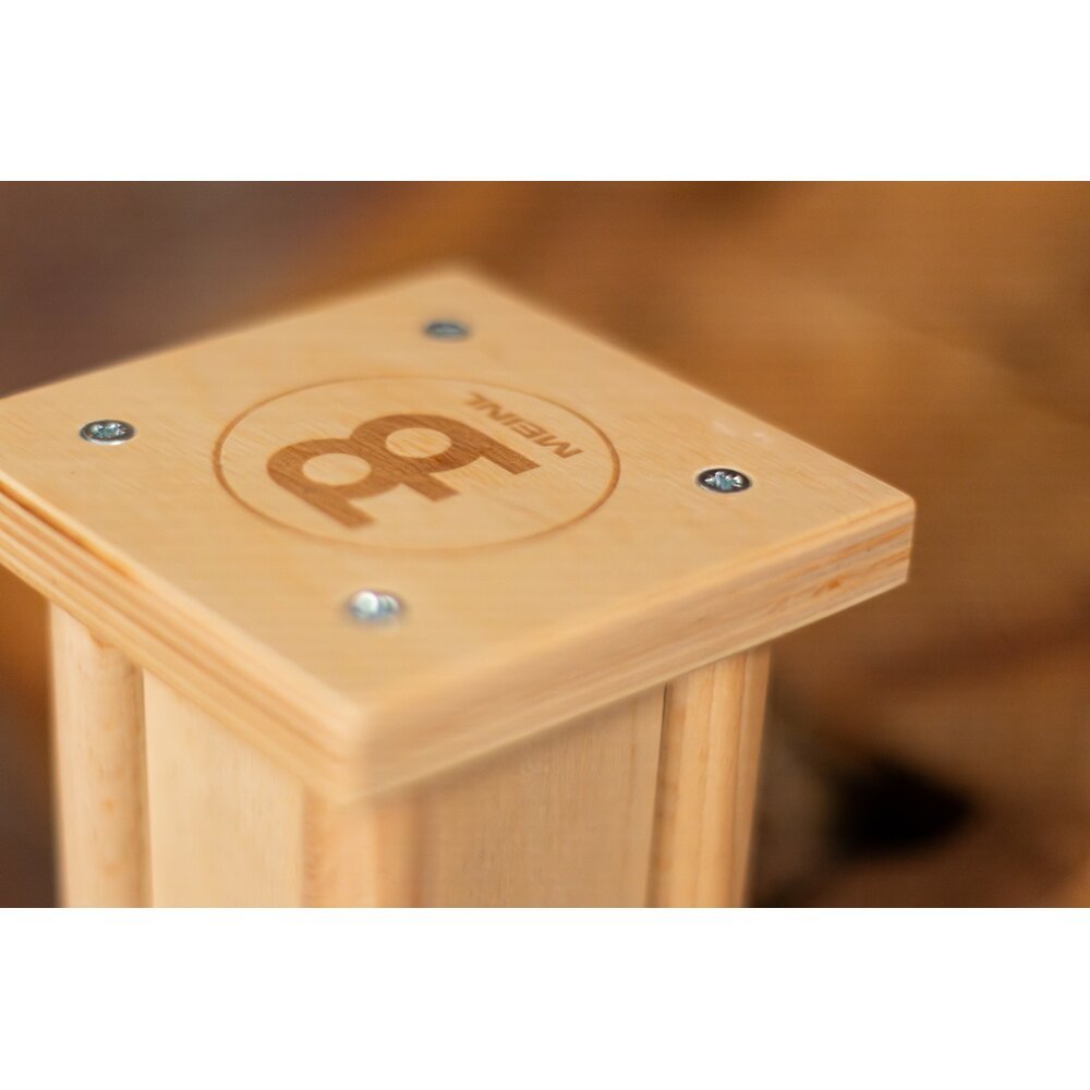 Meinl Pro Rainmaker - Natural - Image 7