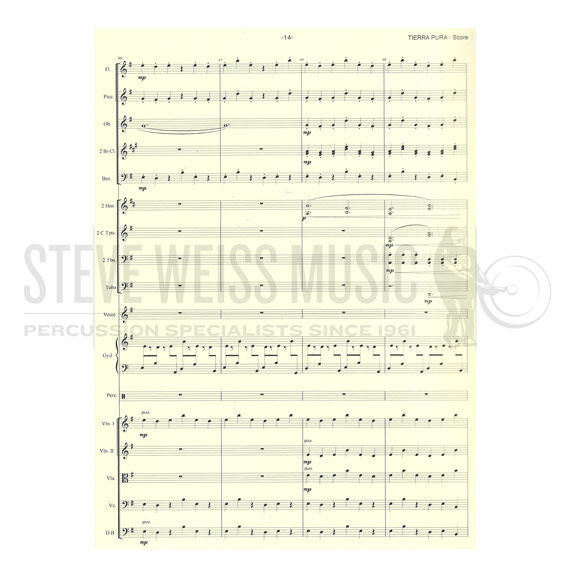 Naranjo-Tierra Pura Chamber Orchestra Version (SP)-Gyil/Orch. Solo part and orchestra study score ONLY