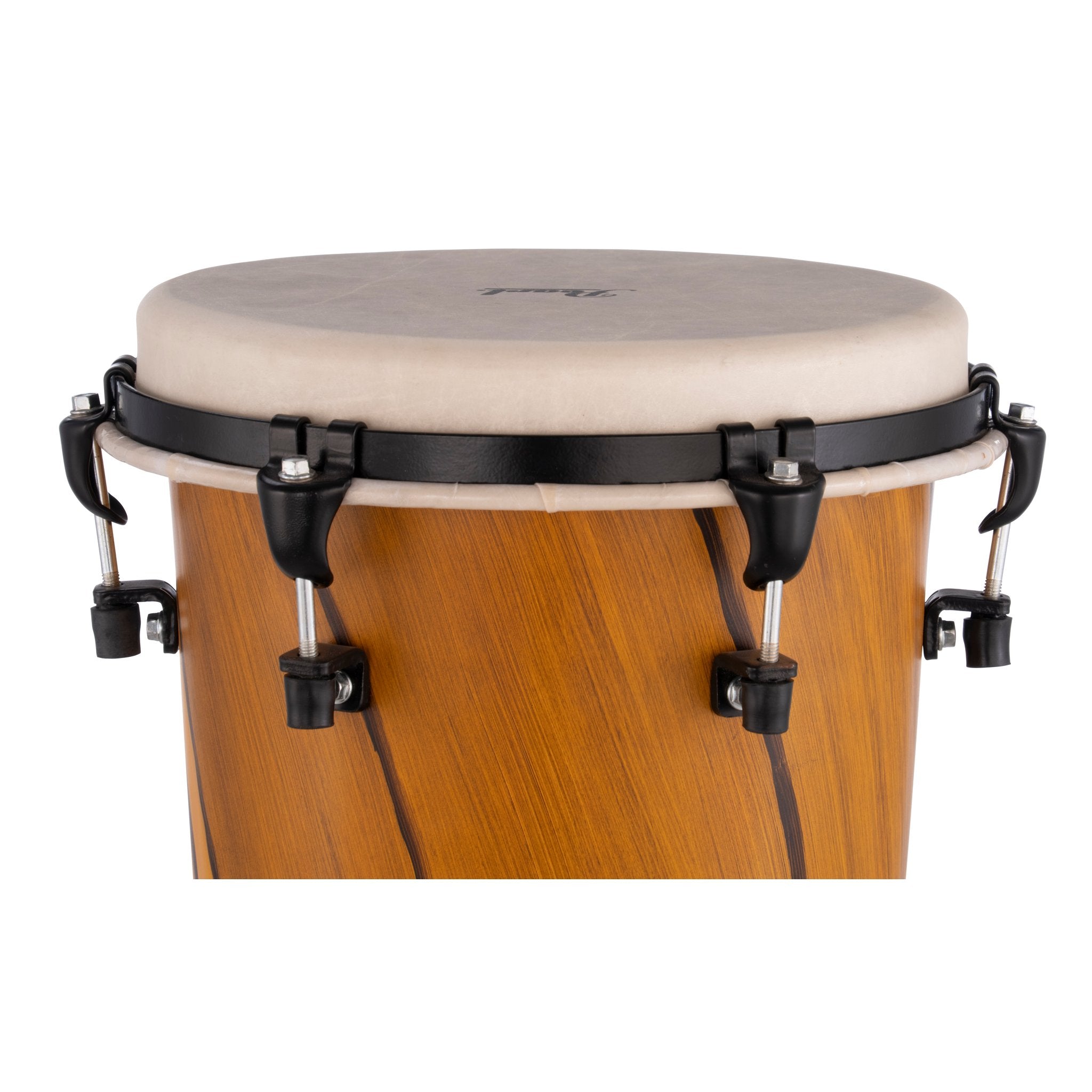 Pearl PVC Ashiko - Top-tuned - Artisan Amber Cypress - Image 3