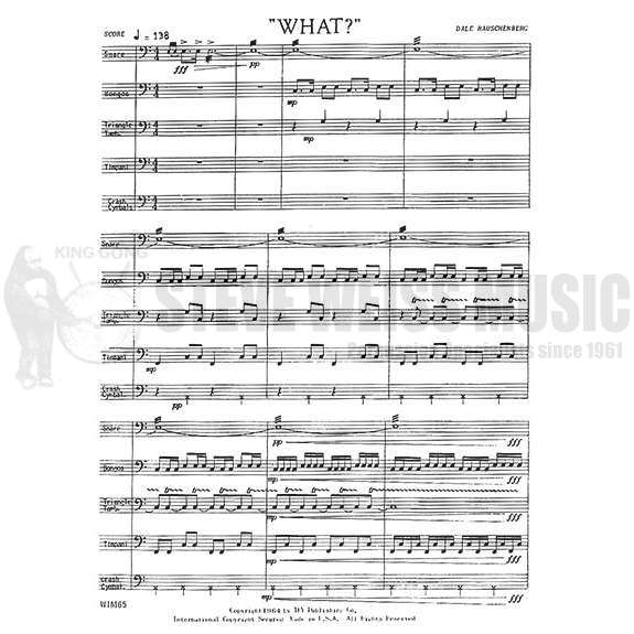 Rauschenberg-What?(SP)